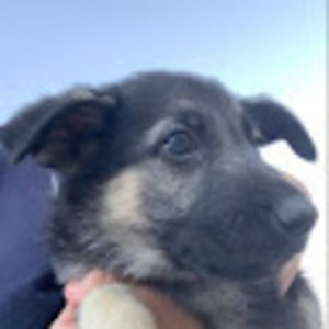 Meet your Posher, Jayda